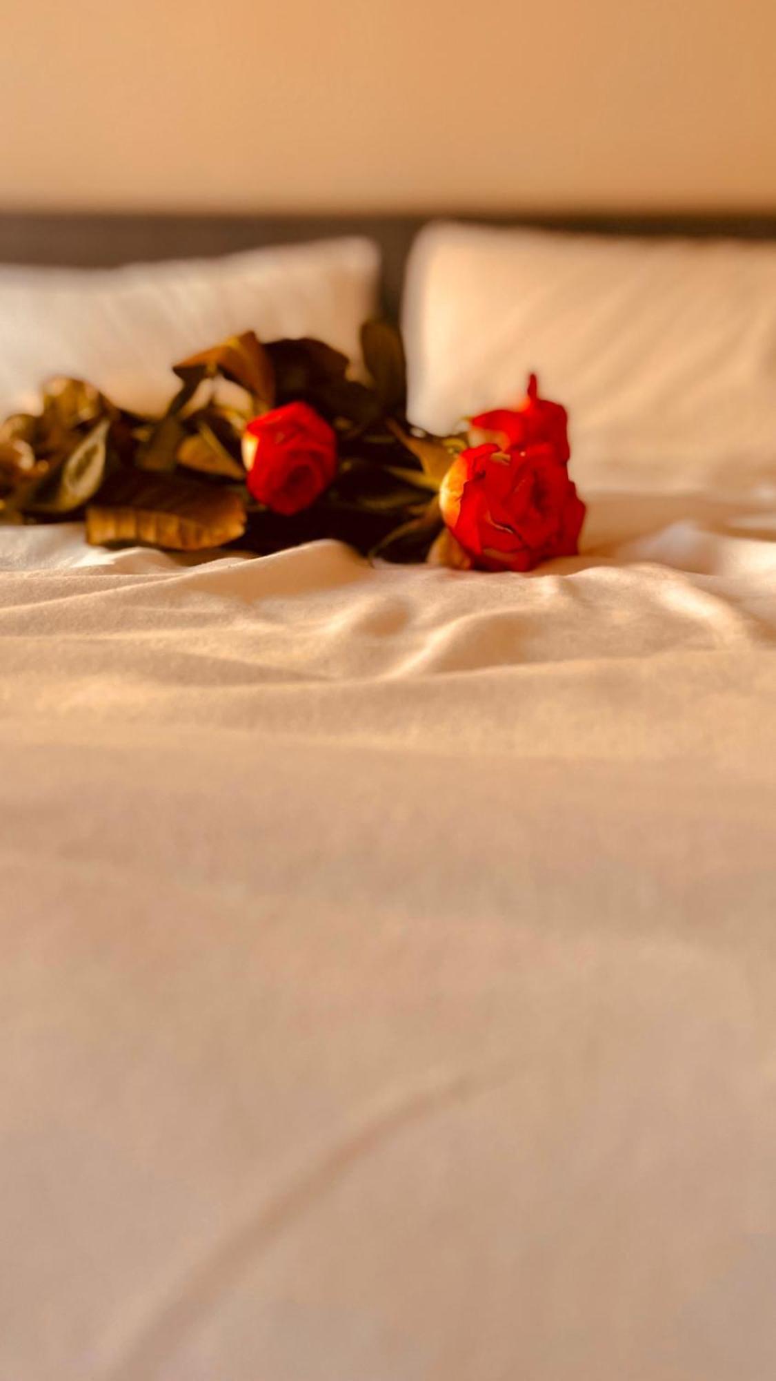 Futura Room&Relax Termoli Dış mekan fotoğraf
